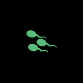 Sperm Swimming Decal Glow in The Dark Sticker Decal for Phone Tablet Laptop Car Truck Window | 4" Sticker | Green