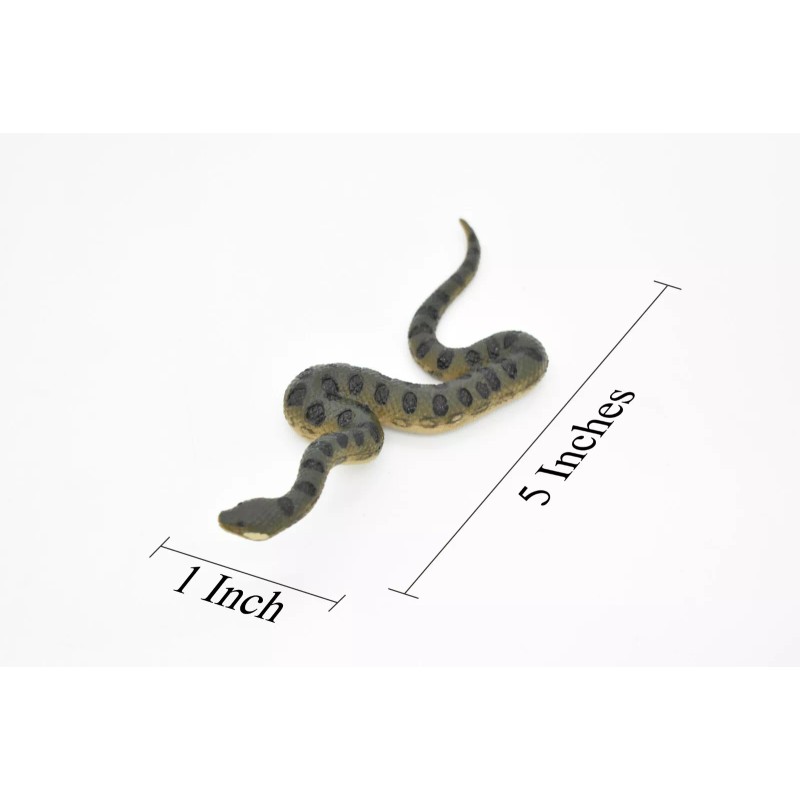 Deshen Du Anaconda Green, Snake, Realistic Rubber Model, Hand Painted