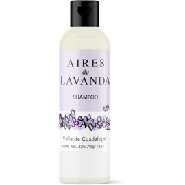 Shampoo Aires de Lavanda 240 ml (8 oz) – Aroma Natural de Lavanda – Para Cabello Normal o Graso – Limpieza Suave con Ingredientes Naturales – Sin Sulfatos ni Parabenos