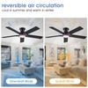 Goniyado 52" RGB Ceiling Fans with Lights and Remote/APP,Black Low