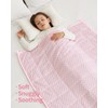 Mr. Sandman Weighted Blanket 3LBS 36 x 48 Inches, Minky