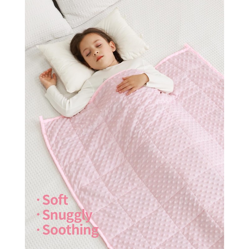 Mr. Sandman Weighted Blanket 3LBS 36 x 48 Inches, Minky
