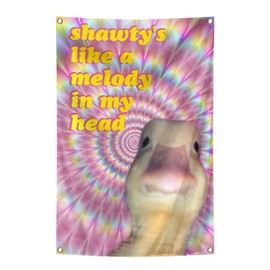 Duck Flag Shawty's Like A Melody In My Head Funny Tapestry 2x3Ft Meme Banner Wall Hanging Tapestries for College Dorm Room Man Cave Parties Decoration
