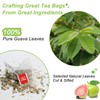 FullChea - Guava Leaves Tea Bags, 50 Teabags - Hojas