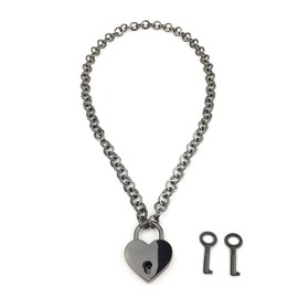 Destiny Love Padlock Choker Collar Necklace with Lock and Two Keys Lock Necklace with Black Box for Women and Men (E, 24)
