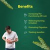 Organic Bhumi Amla Powder - Rich in Antioxidant Vitamin C