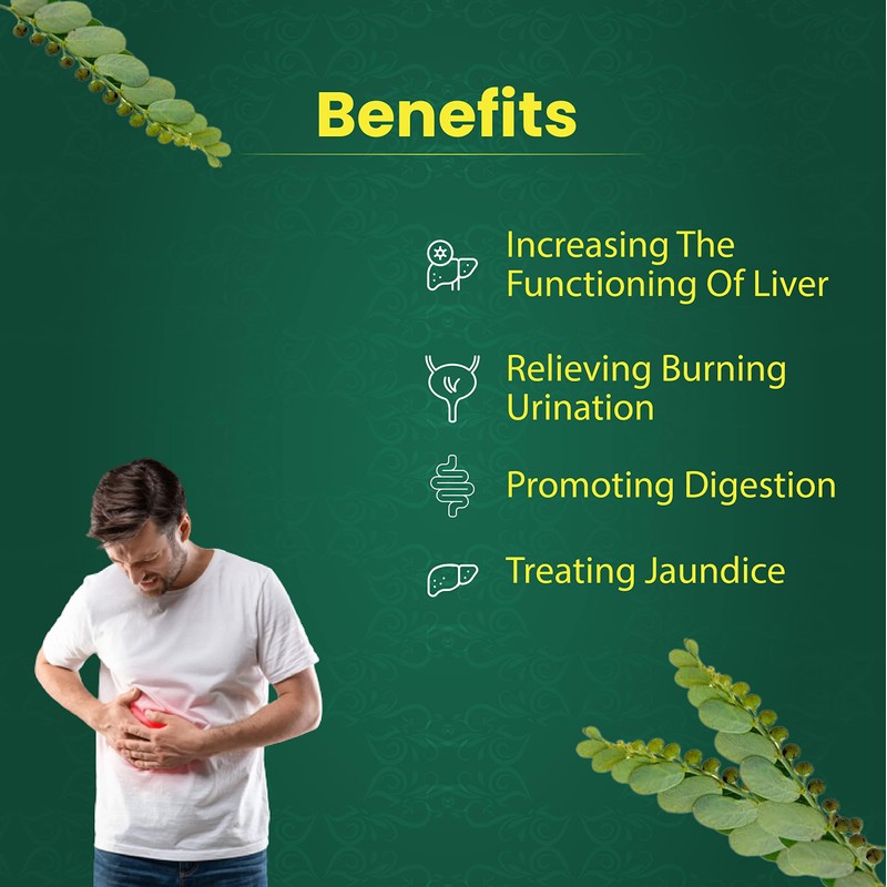 Organic Bhumi Amla Powder - Rich in Antioxidant Vitamin C