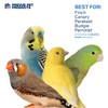 Prevue Pet Products Physical & Mental Court Jester Bird Toy