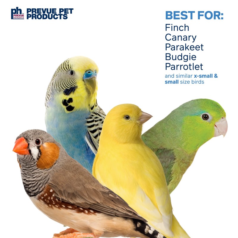 Prevue Pet Products Physical & Mental Court Jester Bird Toy