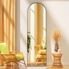 Hasipu 53" x 12" Arched Full Length Mirror Wall Mounted