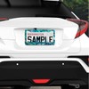 Faux Abalone License Plate Frame - 2 Packs Universal Stainless