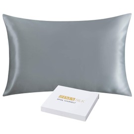 ZIMASILK 25 Momme 100% Mulberry Silk Pillowcase for Hair and Skin,Both Sides Natural Silk,Hidden Zipper Closure,1 Pc Gift Box (Iron Gray, Queen 20''x30'')