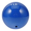 Totority Weighted Sand Ball for and Yoga Softball for Strength