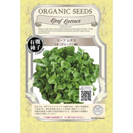 Green Field Project [Species/Fixed Species] Leaf Lettuce (Oak Leaf/Green) A053