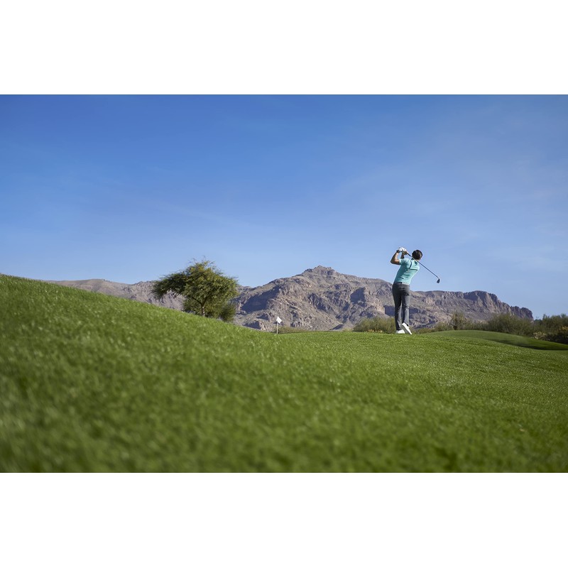 Garmin Approach S12 GPS Golf Watch, White