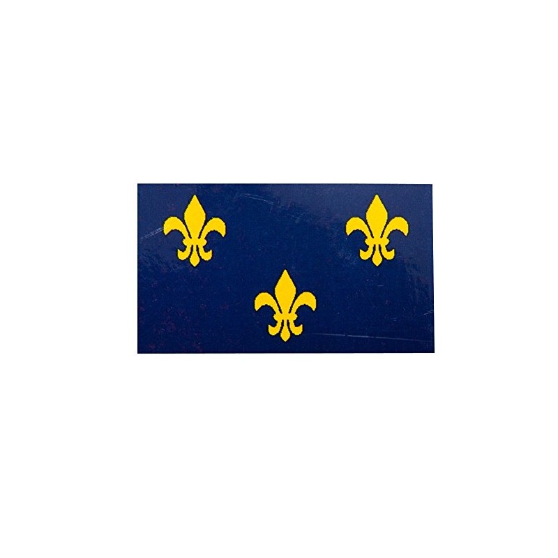 3' x 5' Fleur De Lis Flag