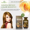 Herbishh Golden Brown Hair Dye Shampoo Kit with Argan Oil