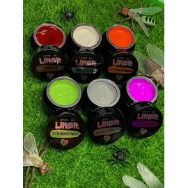 STRANGE AND UNUSUAL LINER GEL COLLECTION