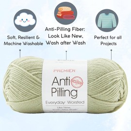 Premier Yarns Anti Pilling Everyday Worsted Solid Yarn Meadow DN100-87 (3-Skein) Same Dyelot Worsted Medium #4 Soft 100% Anti-Pilling Acrylic Bundle with 1 Black Project Bag