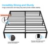MOLATIN 14 Inch Metal Bed Frame,Heavy Duty Metal Platform Bed