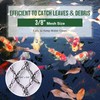 Pond Netting for Koi Ponds, 7 x 10ft Koi Pond