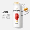 Pantene - Shampoo Rizos Definidos, con Aceite de Coco, Shampoo