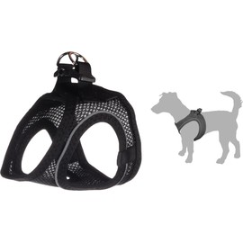 Step & Go Bento Black Medium 41-44cm