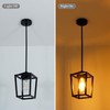 Quxezz 1-Light Black Pendant Lights Kitchen Island, Farmhouse Metal Cage