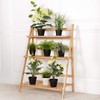 Casart Bamboo Ladder Stand Shelf, Foldable Multifunctional Flower Display Rack,