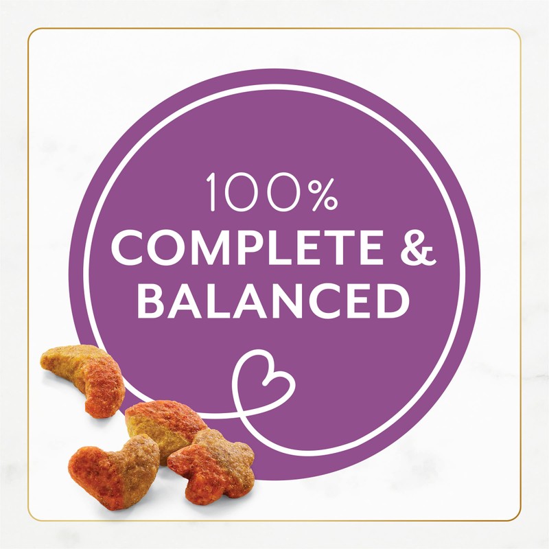 Fancy Feast Dry Cat Food with Savory Chicken and Turkey