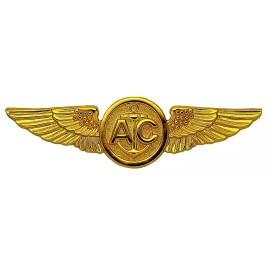 USN Aircrew Wings Badge Pin USMC Marine Coast Guard Gold Plated US Navy Air Crew