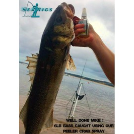 King Ragworm "ULTRAVIOLET" 22cm x3 Infused with Natural Ragworm Flavour Life like Artificial Sea fishing lure LRF