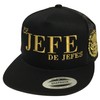 EL JEFE DE JEFES DE Michoacan Logo Federal HAT MESH