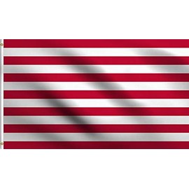 DMSE Sons of Liberty Flag 3X5Ft Foot 100% Polyester 100D Flag
