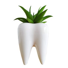 Tooth Shaped Ceramic Succulent Cactus Vase Flower Pot (Plants Not Included)