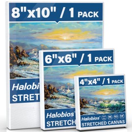 Halobios - lona estirado para pintar con 4 x 4 pulgadas, 6 x 6 pulgadas, 8 x 10 pulgadas, 3 paquetes de lienzos Blacnk para acrílico, aceites y otros medios de pintura, lona enmarcado de 100% algodón