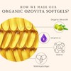 High Potency Ozonated Organic Extra Virgin Olive Oil Softgels 1000mg
