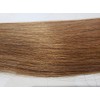 GLAVIS Extensions: Platinum Remy Hair P67cm About 100g: 402
