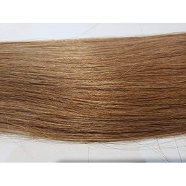 GLAVIS Extensions: Platinum Remy Hair P67cm About 100g: 402