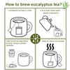 FullChea - Natural Eucalyptus Tea Bag 30 Teabags, 1.5g/bag -