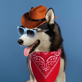 Petta Cowboy Costumes for Dogs & Puppies, Cowboy Hat with Scarf PD602-2