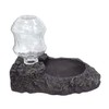 Vivaria Bottle Dish Black Reptile Amphibian