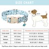ARING PET Dinosaur Dog Collar-Cute Spring Blue Dog Collars, Adjustable