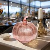hvfun Rosegold Thanksgiving Decorative Artificial Pumpkins-Mercury Glass Light up Pumpkin