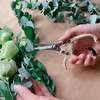 LOOPSEED Plant Pruning Shears Garden Trimming Scissors Precision Hand Pruner
