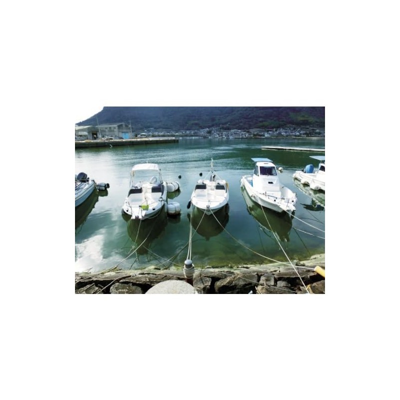 TRUSCO biniron Rope White 4 mm X 50 m with