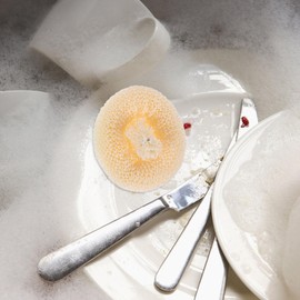 iplusmile 10 Pack Dish Cleaning Scrubbers Kitchen Dish Scrub Pads Set of 10 Random Color