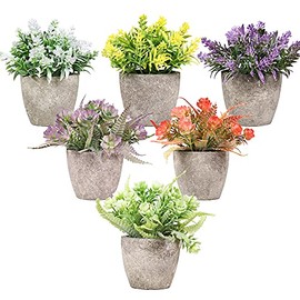 6 Piezas de Plantas Artificiales Mini Macetas,Fake Planta de Plástico,Flor Verde en Maceta Falsa,Adecuado para la Familia,Decoración de Mesa,Escritorio de Computadora