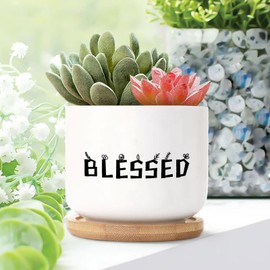 DecStic Blessed Ceramic Planters Bible Verse Snake Plant Live Indoor with Pot with Drainage Holes and Saucers Pot for Succulents Cactus Garden Windowsill