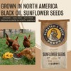 Scratch and Peck Black Oil Sunflower Seeds Chicken and Duck